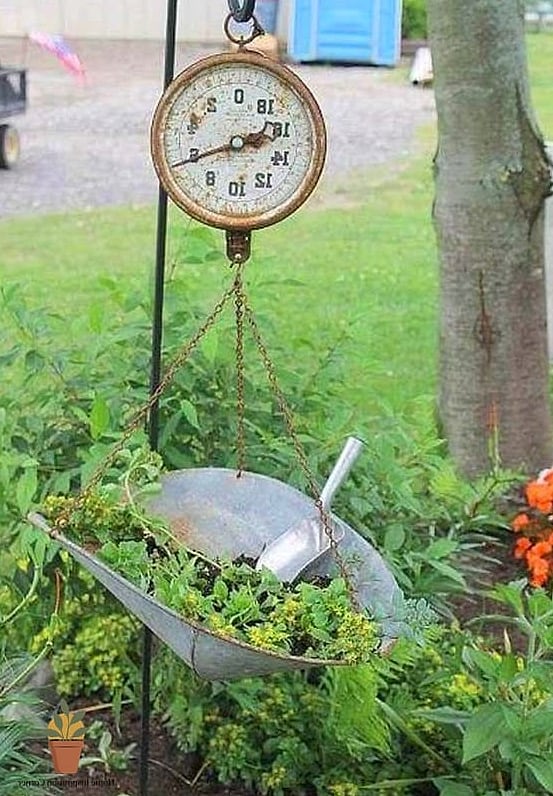 Vintage Scale Planter