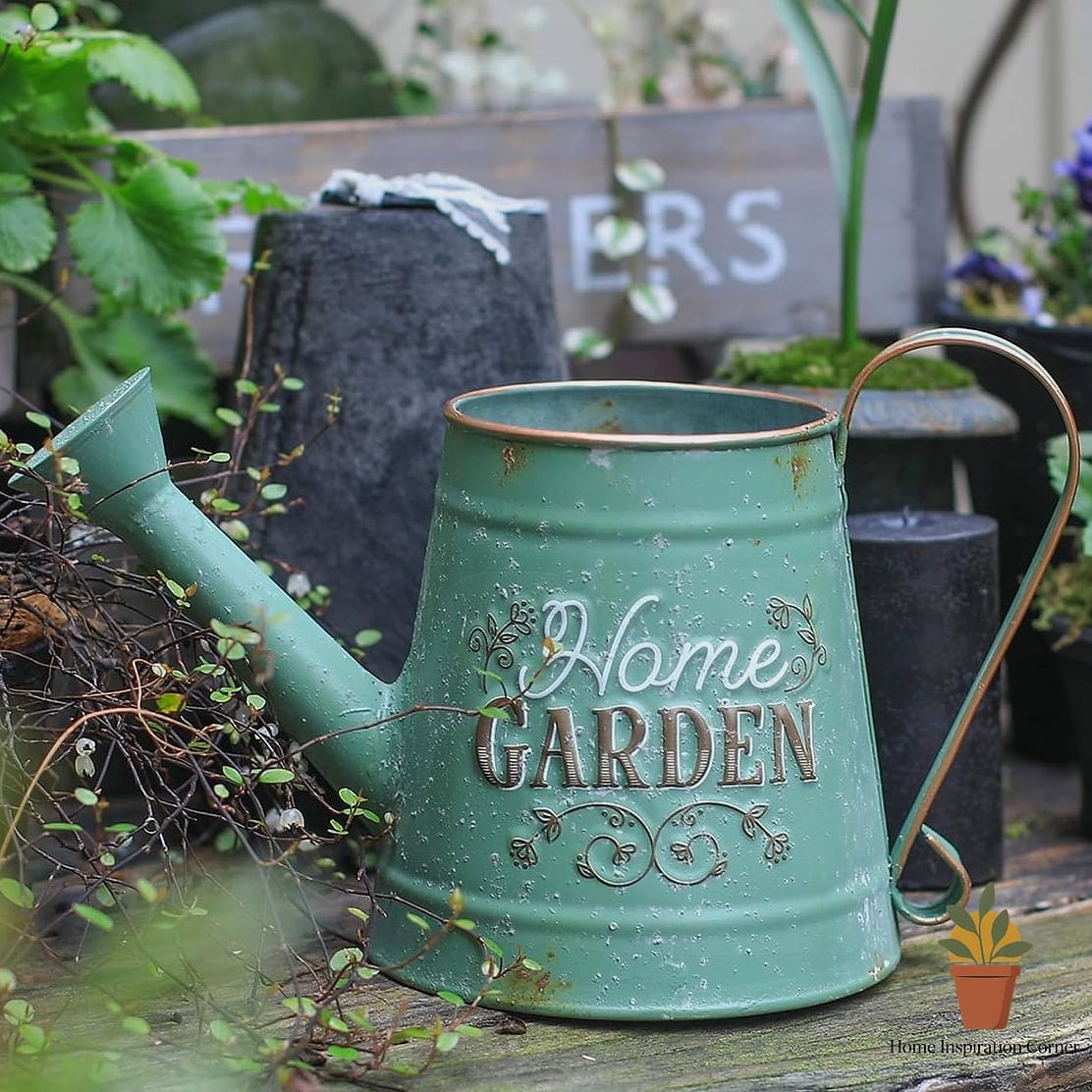 Vintage Watering Can Collection