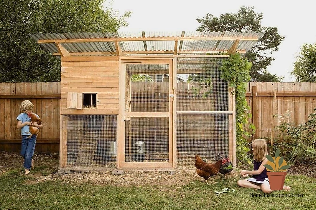 The Walk-In Coop with Attached Run