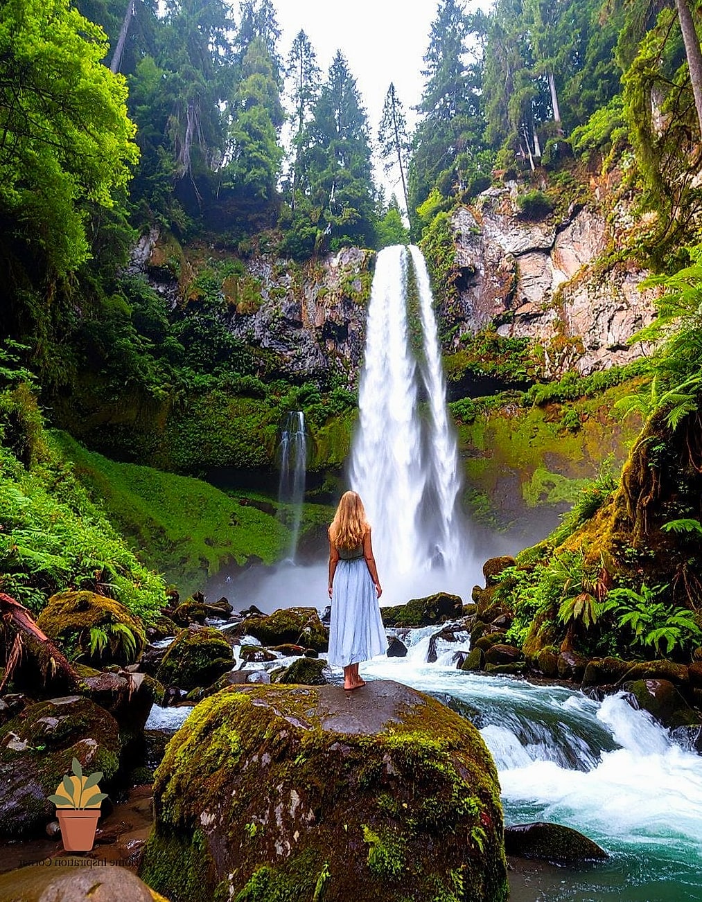 Waterfall or Natural Spring
