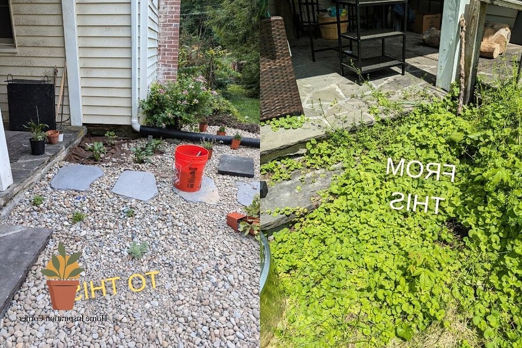 The Weedy Gravel Patch to Defined Fire Pit Area