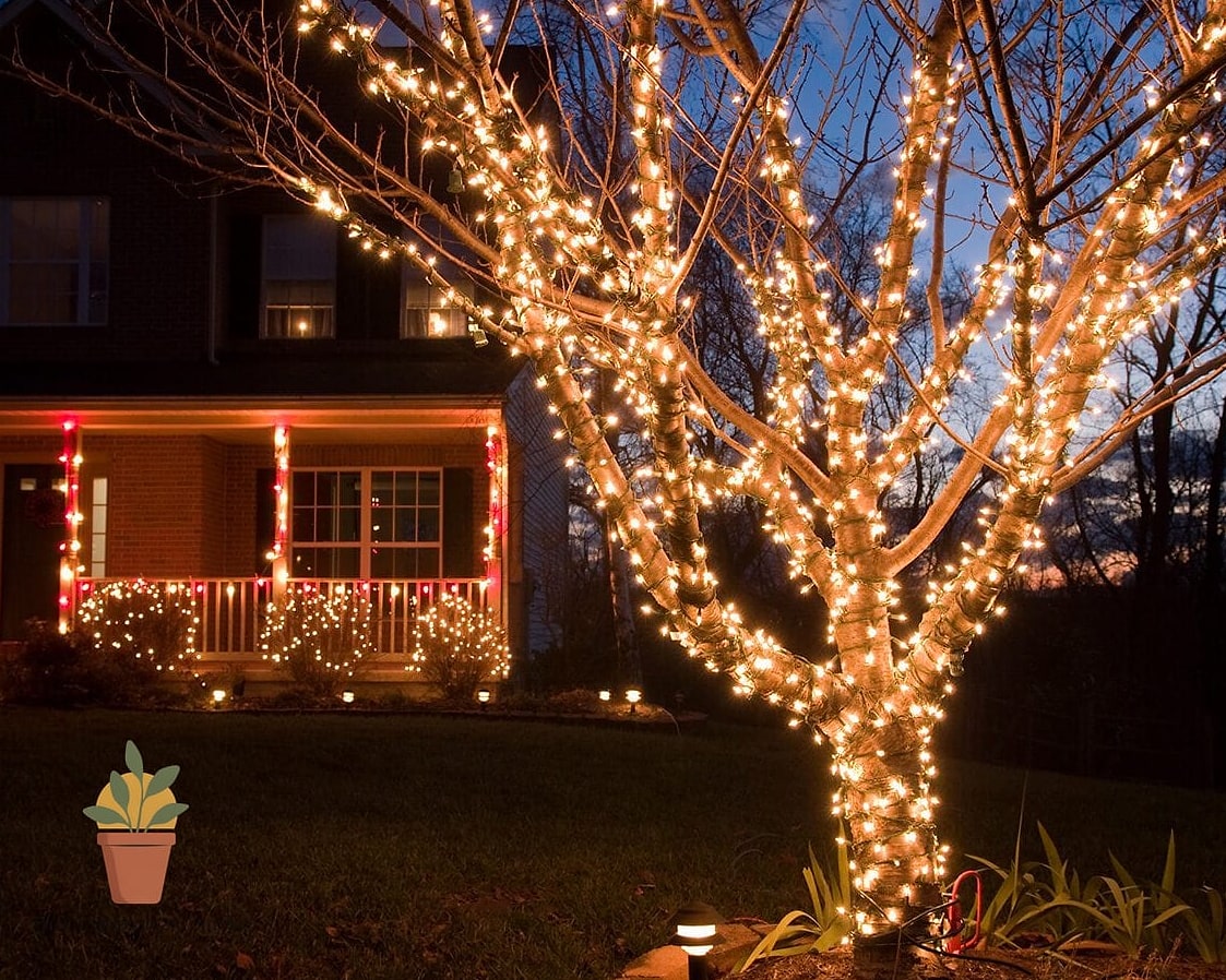 Wrap String Lights Around Tree Trunks