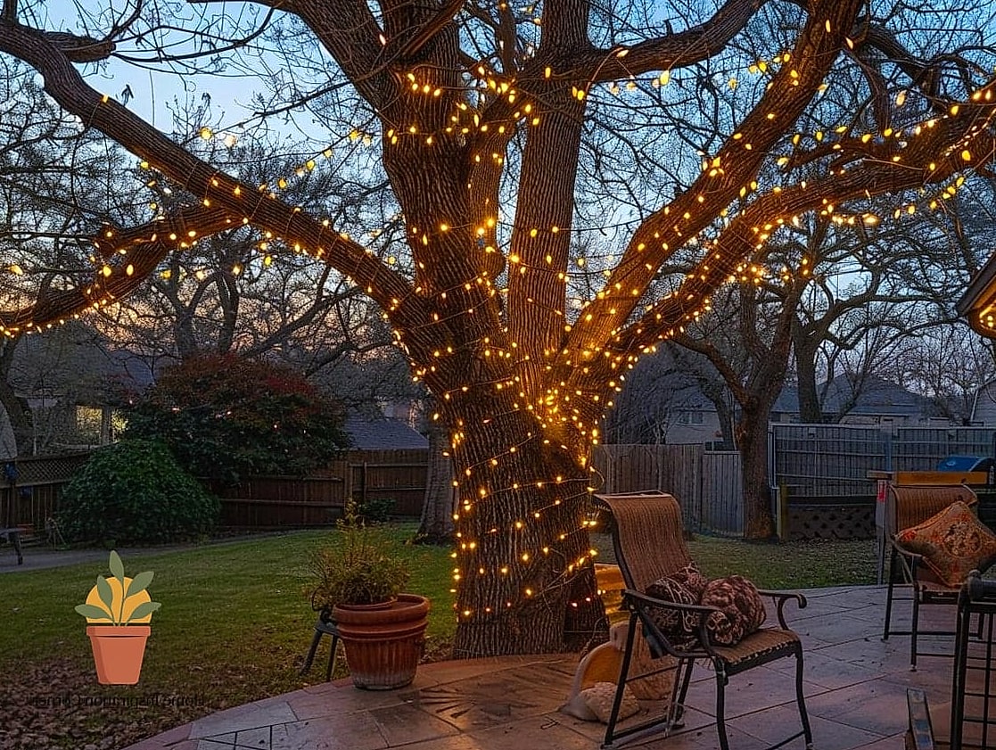 Wrap String Lights Around the Trunk, Not Just the Branches